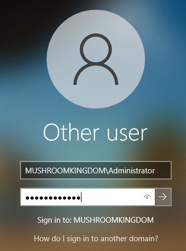 Logging in as the domain administrator to our workstation